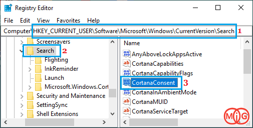 HKEY_CURRENT_USER\SOFTWARE\Microsoft\Windows\CurrentVersion\Search