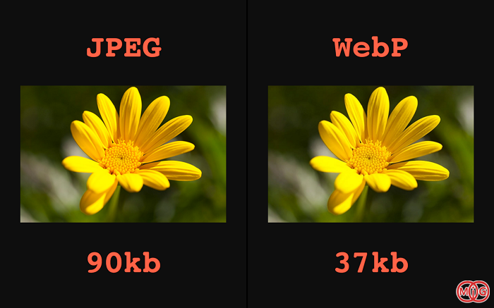 فرمت webp نسبت به سایر تصاویر با حفظ کیفیت از حجم کمتری برخوردار است