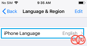iPhone Language