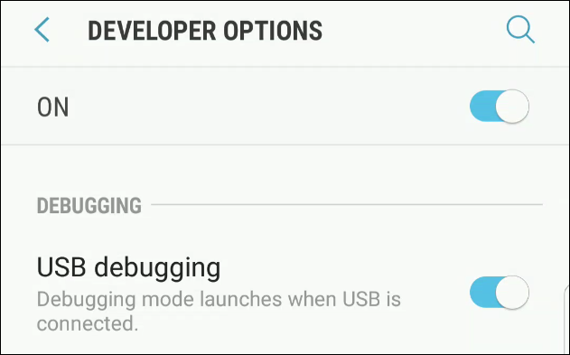 developer options