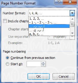 Page number Format In Microsoft Word