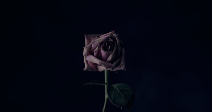 افسردگی