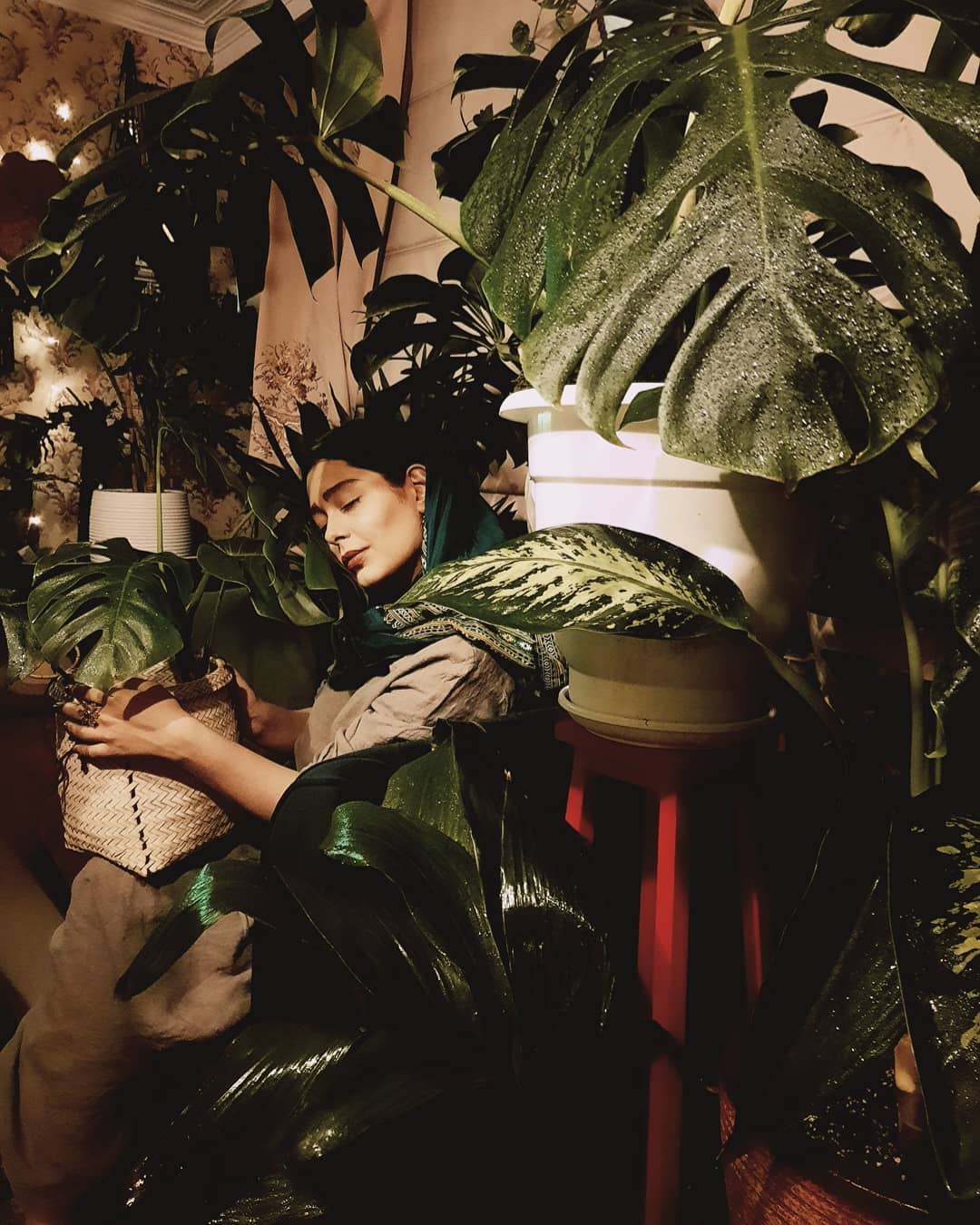 سانیا سالاری