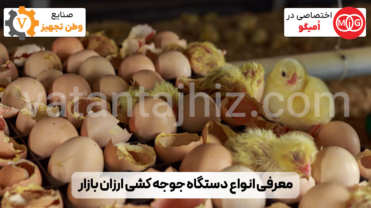 معرفی دستگاه های جوجه کشی ارزان بازار