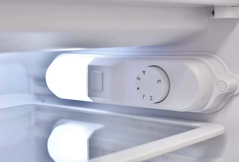 What are the symptoms of burning refrigerator thermostat