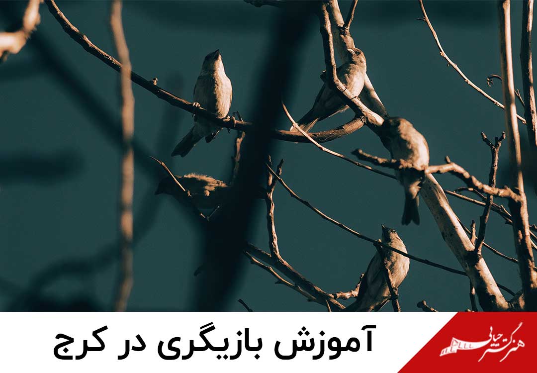 دوره بازیگری در کرج