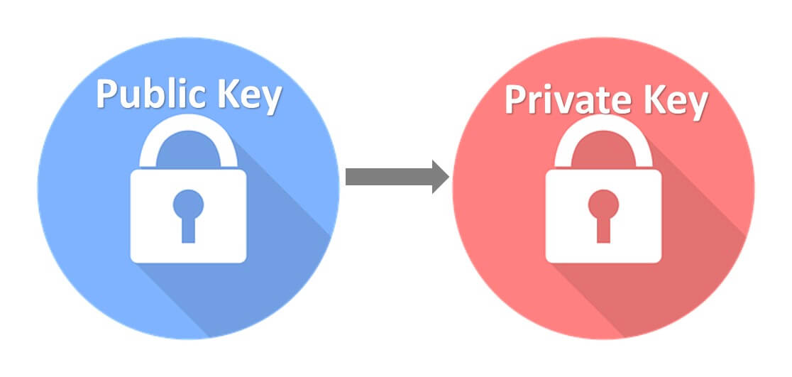 Частный ключ. Private public Key. Публичный ключ и приватный ключ. Картинка public Key. Публичный ключ и приватный ключ крипта.